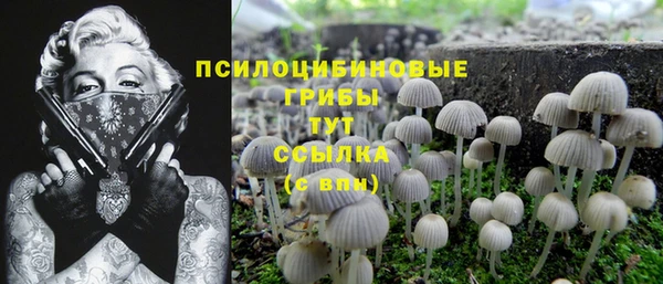 герыч Богданович