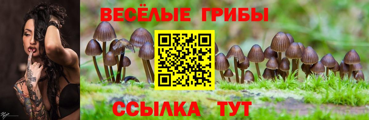 Галлюциногенные грибы Psilocybine cubensis  Вход с VPN  Великие Луки 