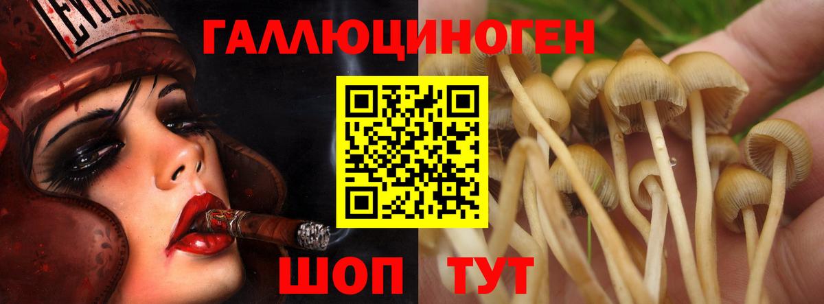 Галлюциногенные грибы Cubensis Великие Луки